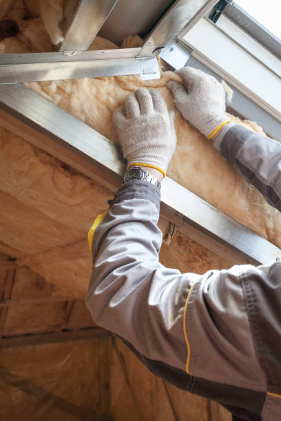 Professional Insulation Contractor in North Shore, CA