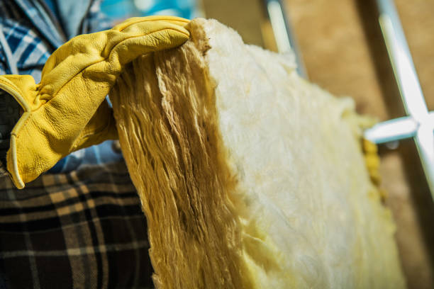 Best Cellulose Insulation in North Shore, CA