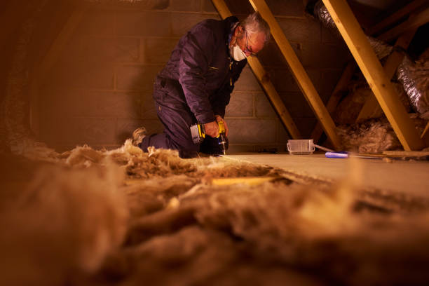 Best Eco-Friendly Insulation in North Shore, CA